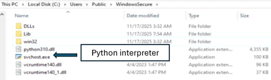 File explorer window showing the WindowsSecure folder with files like python310.dll, svchost.exe, and vcruntime140.dll; an arrow points to svchost.exe labeled